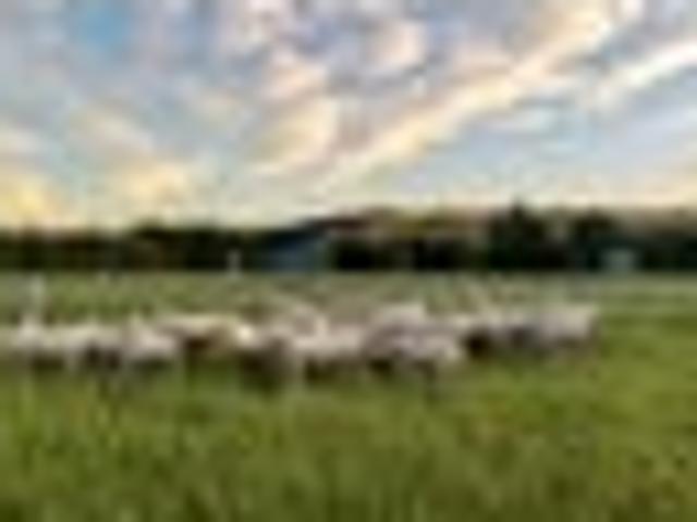 House for sale in Marlborough