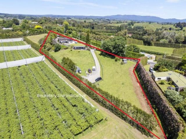 House for sale in Whakamarama, Bay Of Plenty