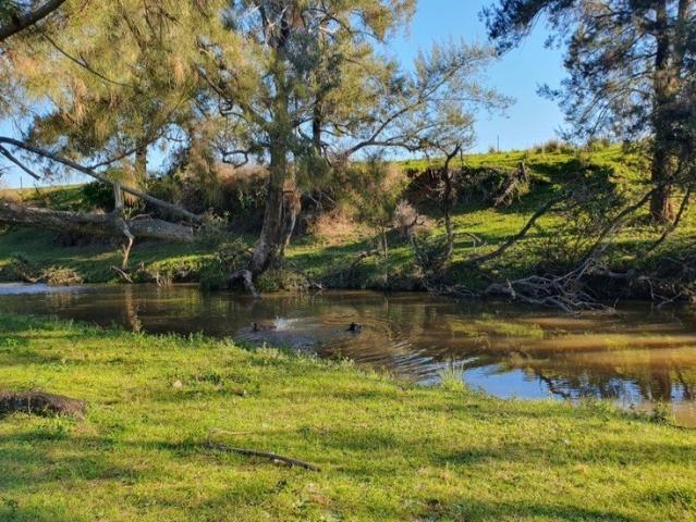 Cottage for sale in Ashford, Inverell Shire Council