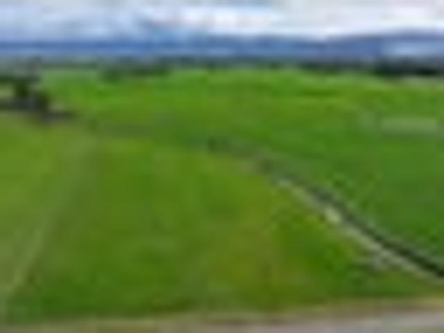 Land for sale in Cape Palliser, Wellington