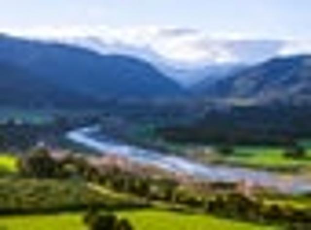 Land for sale in Greytown, Wellington