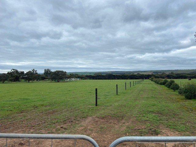 Land for sale in Callington, South Australia