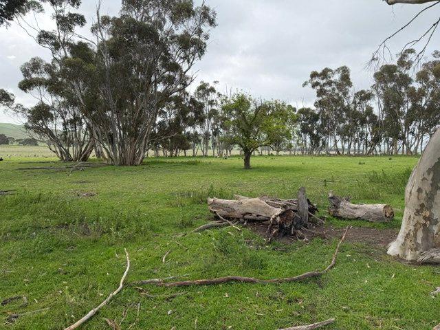 Cottage for sale in Coleraine, Victoria