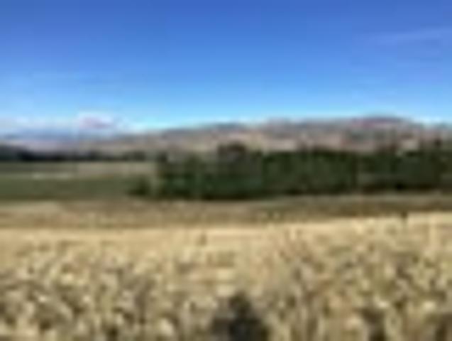 Land for sale in Otakou