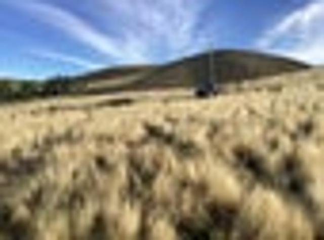 Land for sale in Otakou