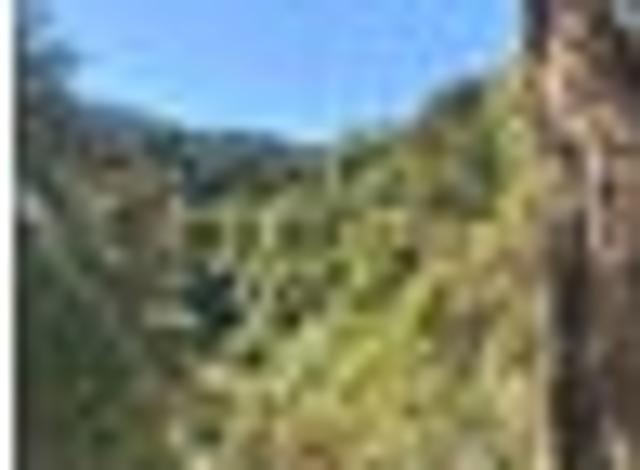 Land for sale in West Coast