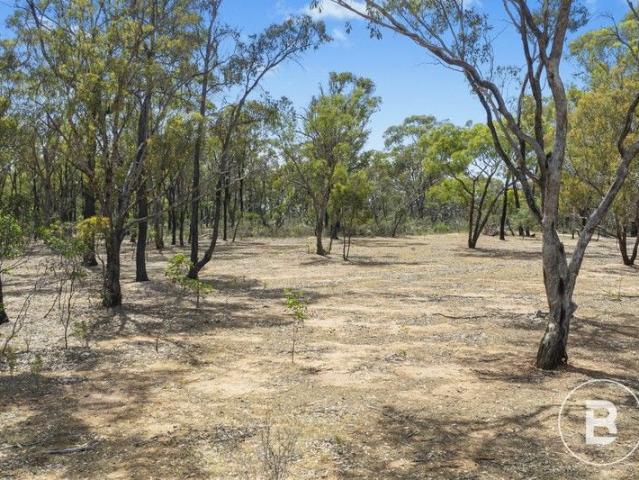 Land for sale in Alma, Victoria