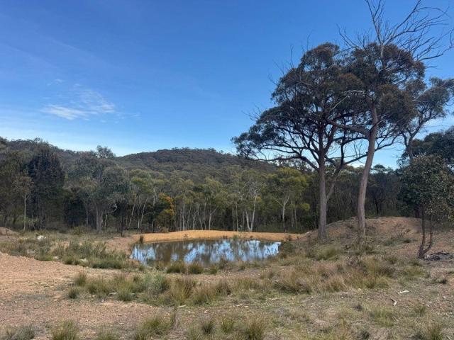 Acreage for sale in Lower Boro, New South Wales