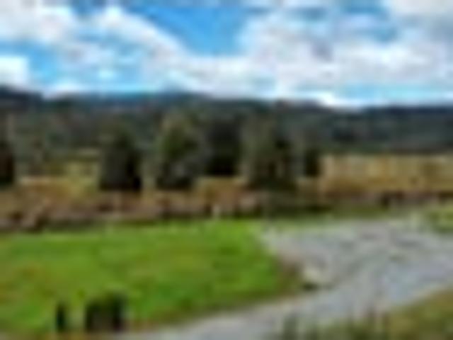 Land for sale in West Coast