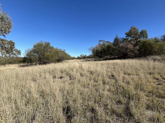 Land for sale in Warialda, New South Wales