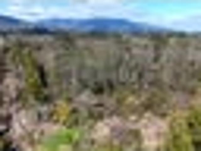 Land for sale in Westport, Buller District
