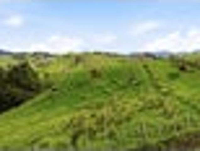 Land for sale in Northland