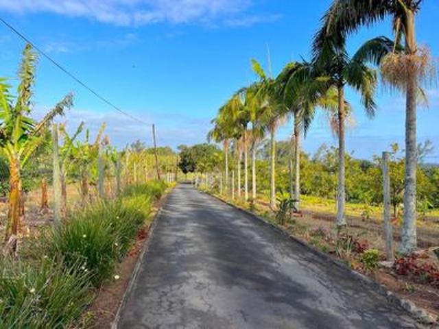 Farm for sale in Ugu District Municipality, Kwazulu-natal