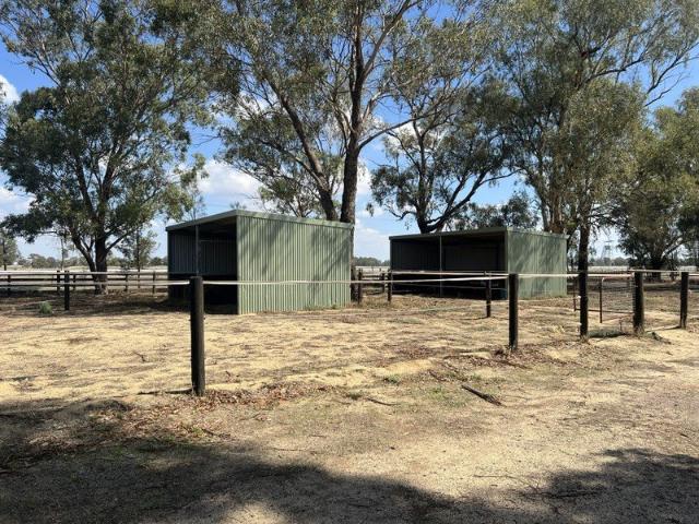 Cottage for sale in Berrigan, New South Wales