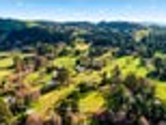 Land for sale in Waikato