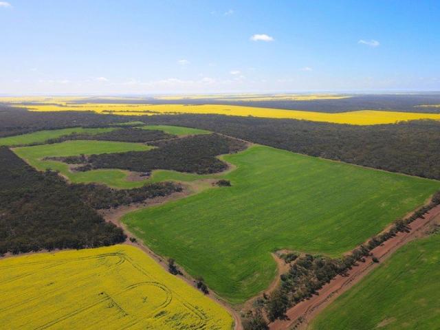 Land for sale in Konnongorring, Western Australia
