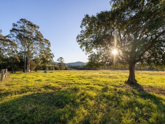 Cottage for sale in Kimbriki, New South Wales