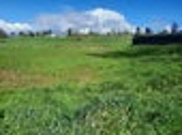 Land for sale in Kihikihi, Waikato