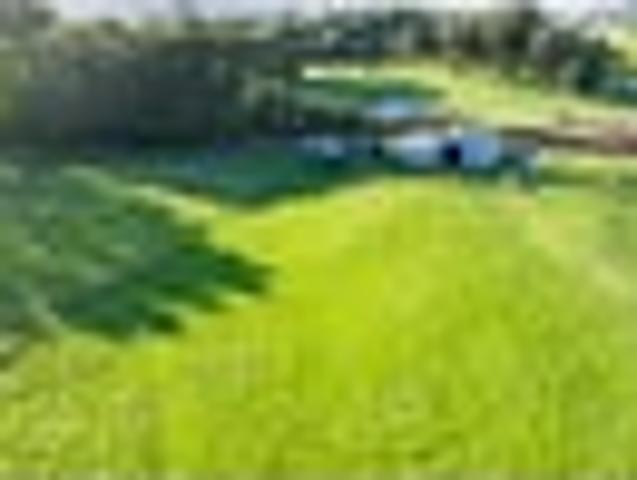 Land for sale in Bay Of Plenty