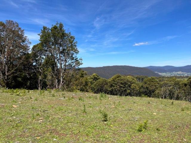 Land for sale in Pyengana, Tasmania