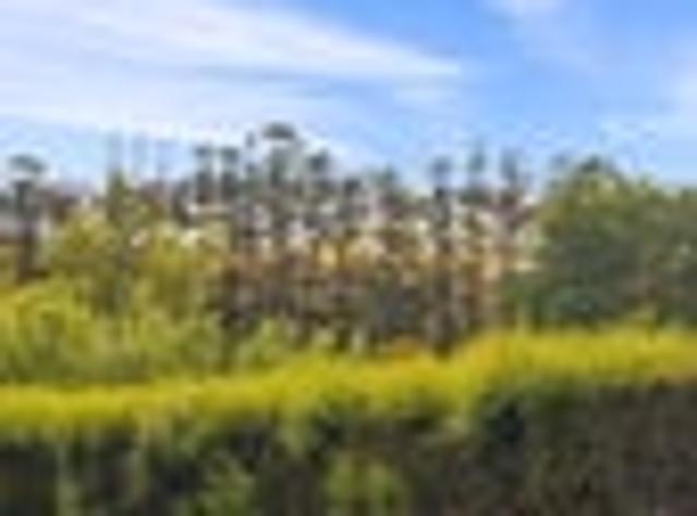 House for sale in Mangawai, Northland