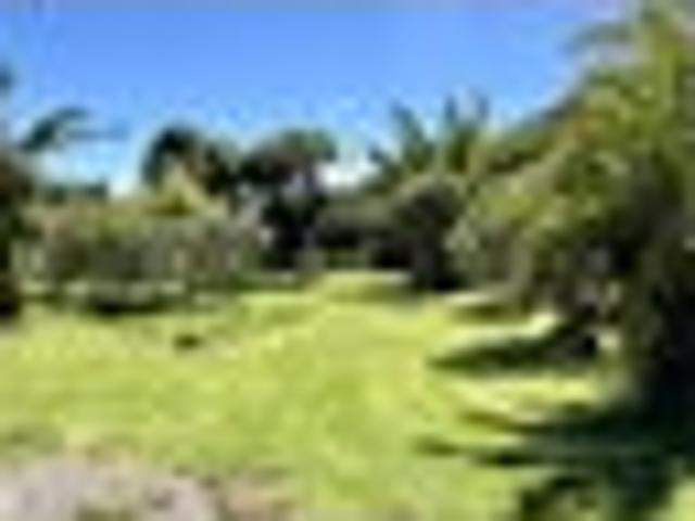 Land for sale in Hector