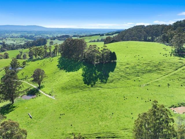 Acreage for sale in Ellinbank, Victoria