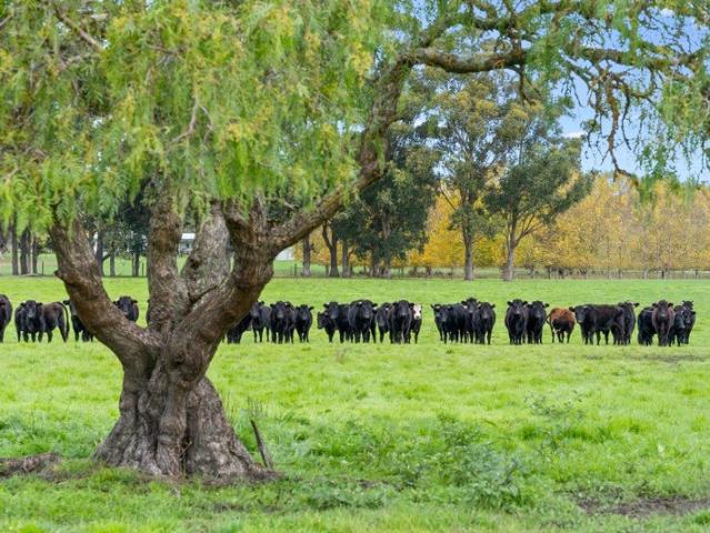 Land for sale in Warner Glen, Western Australia