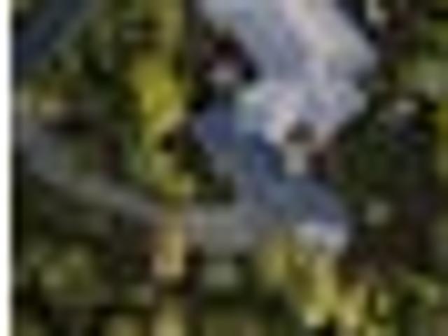 House for sale in Whangarei, Northland