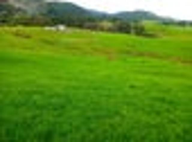 Land for sale in Fairburn, Northland