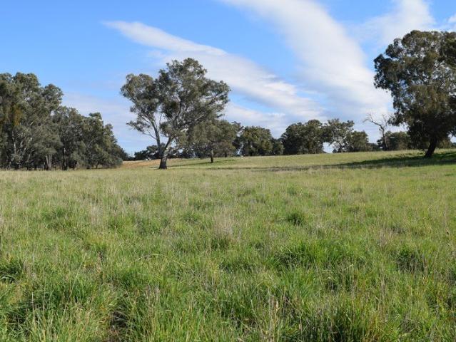 Land for sale in Howlong, New South Wales