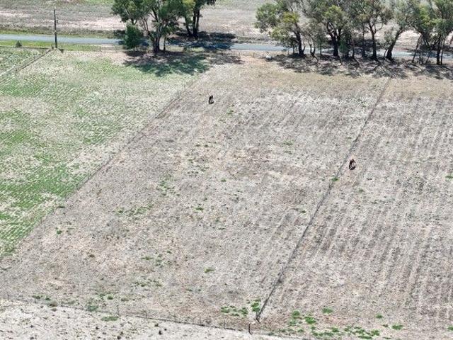 Land for sale in Grenfell, New South Wales