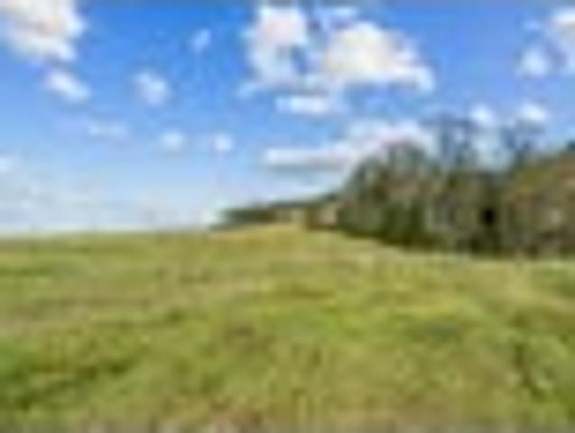 Land for sale in Karetu, Northland