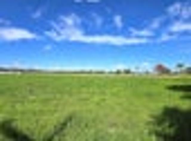 Land for sale in Arapohue, Northland