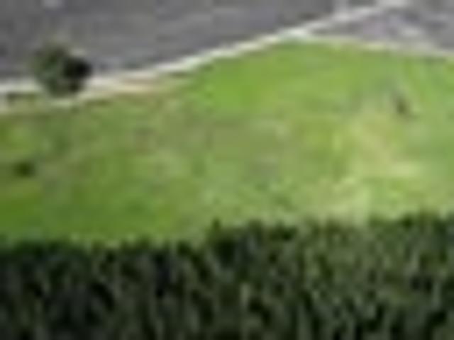 Land for sale in Otakou