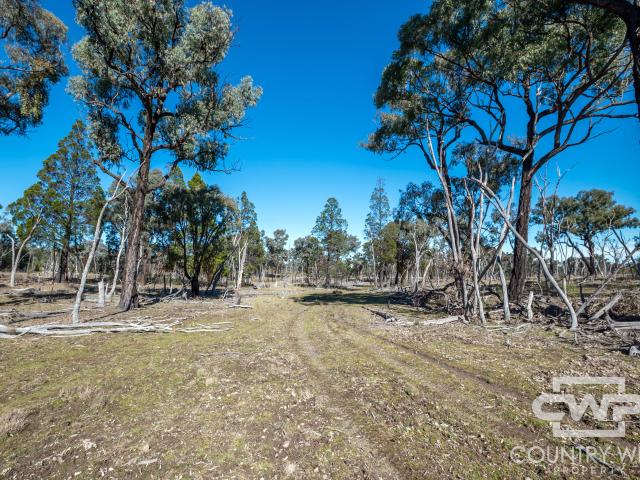 Property for sale in Emmaville, New South Wales