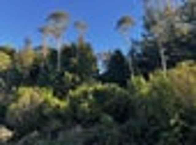 Land for sale in Marsden, West Coast