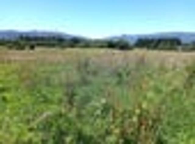 Land for sale in Fairdown, West Coast