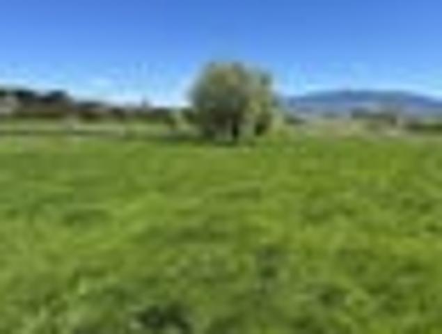 Land for sale in Waikato