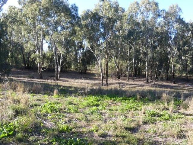 Land for sale in Warren, New South Wales