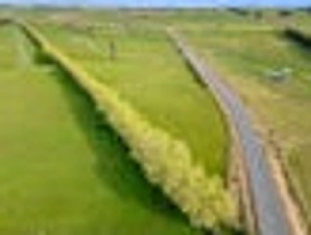 Land for sale in Southland