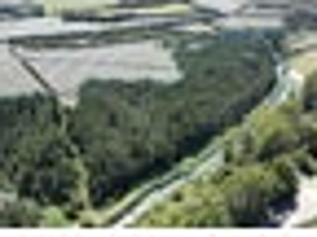 Land for sale in Bay Of Plenty