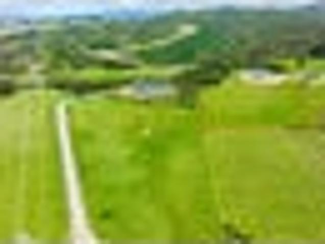 Land for sale in Northland