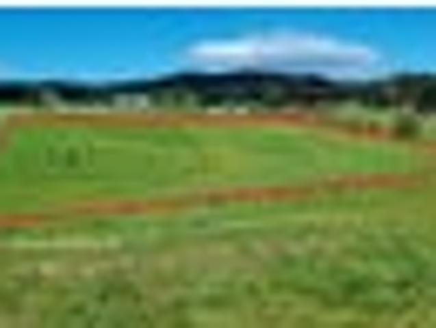 Land for sale in Longwood, Southland