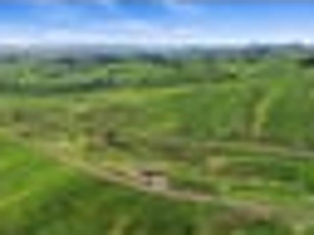 Land for sale in Renown, Waikato