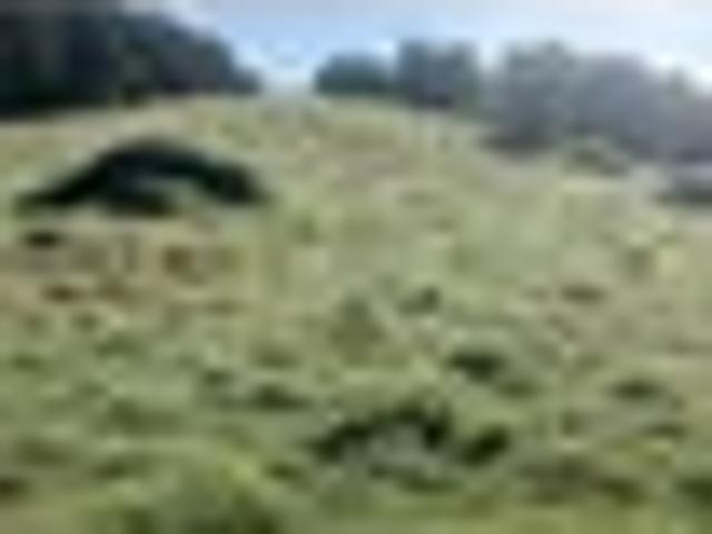 Land for sale in Whangārei District, Northland