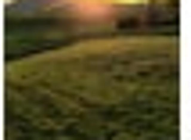 Land for sale in Tokanui, Kihikihi