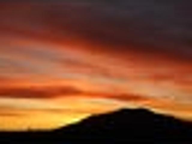 Land for sale in Kihikihi, Waikato