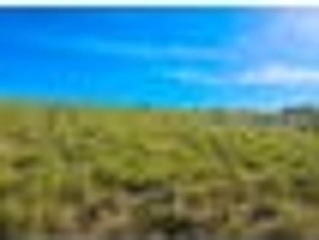 Land for sale in Otakou