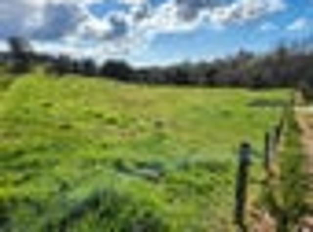 Land for sale in Waikato